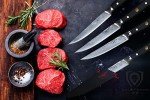 Shogun Series Elite 4-Piece Steak Knives Set