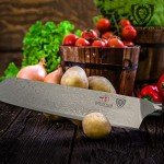 Dalstrong 8.5" Kiritsuke Chef Knife - Shogun Elite