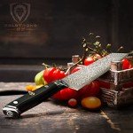 Dalstrong 8.5" Kiritsuke Chef Knife - Shogun Elite