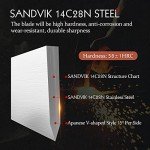 Hezhen Hand Forged Japanese Knife Set