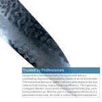 Sakai Takayuki 33-Layer VG-10 Gyuto Knife