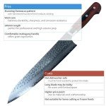 Sakai Takayuki 33-Layer VG-10 Gyuto Knife