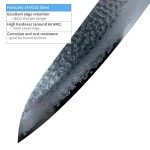 Sakai Takayuki 33-Layer VG-10 Gyuto Knife