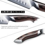 HOSHANHO 12" Japanese AUS-10 Carving Knife