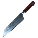 Sakai Takayuki Hammered Damascus VG-10 Gyuto Knife