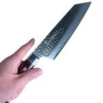 Sakai Takayuki Hammered Damascus VG-10 Gyuto Knife