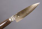 Shun Premier 4-Inch Stainless Steel Paring Knife