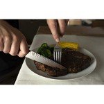 Shun Premier 4-Piece Steak Knife Set