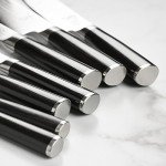 Shun Classic 10-Piece Japanese Knife Set
