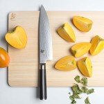 Shun Classic 10-Piece Japanese Knife Set