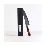 Sakai Takayuki 21cm VG10 Gyuto Knife