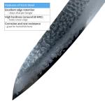 Sakai Takayuki 240mm Hammered Damascus Gyuto Knife