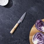 Miyabi 3.5-Inch Stainless Steel Paring Knife