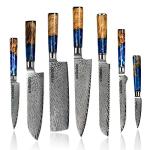 Seido 7-Piece Damascus Steel Kitchen Knife Set