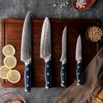 Seido 4-Piece VG10 Damascus Steel Knife Set