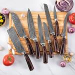 Seido Master Chef 8-Piece Knife Set