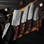 Seido 5-Piece Butcher Knife Set with Mahogany Handles