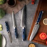 Seido 4-Piece VG10 Damascus Steel Knife Set