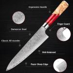 8" Seido Red Gyuto Knife - VG10 Super Steel