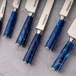Seido 10-Piece Tengoku Chef Knife Set