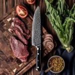 Seido 8-Inch Shujin Gyuto Damascus Knife