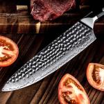 Seido 8-Inch Shujin Gyuto Damascus Knife