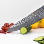 Seido 8-Inch Shujin Gyuto Damascus Knife