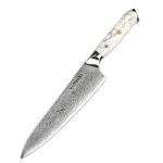 Seido Takoizu Gyuto Chef Knife - Damascus Steel Blade