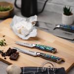 Awabi Damascus Chef Knife Set with Abalone Handles