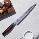 Miyabi Precision Slicing Knife