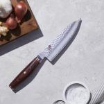 Miyabi Professional Chef Knife