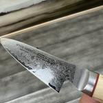 Miyabi Birchwood 3.5" Paring Knife - Multicolor