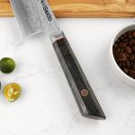 Katsuryoku 9-Inch Gyuto Knife with Maple Handle