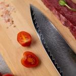 Seido Awabi 8-inch Japanese Chef Knife