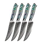 Seido Awabi 4-Piece Steak Knife Set