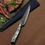 Seido Awabi 4-Piece Steak Knife Set