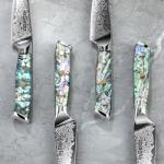 Seido Awabi 4-Piece Steak Knife Set