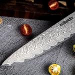 Epokishi 8-Inch Gyuto Japanese Chef Knife