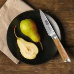 HOSHANHO 3.75" Japanese Paring Knife – Damascus Steel