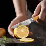 HOSHANHO 3-Piece Damascus Kitchen Knife Set