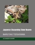 Narutaki Toishiyama Japanese Sharpening Stone