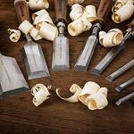 IMOTECHOM 10-Piece Woodworking Chisel Set