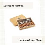 Fujikawa Okyo 10-Piece Japanese Chisel Set