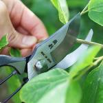 KAKURI 8" Heavy Duty Japanese Pruning Shears
