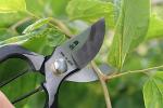 KAKURI 8" Heavy Duty Japanese Pruning Shears