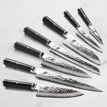 Miyabi Mizu SG2 10-Piece Knife Set