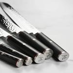 Miyabi Mizu SG2 10-Piece Knife Set
