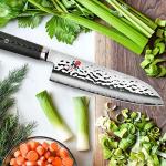 Miyabi Mizu SG2 10-Piece Knife Set