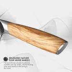 8-Inch VG10 Damascus Japanese Chef Knife