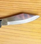 Japanese Emperor Steel Petty Knife for Kitchen